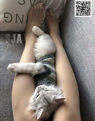 神马久久午夜_BD国语BD在线观看